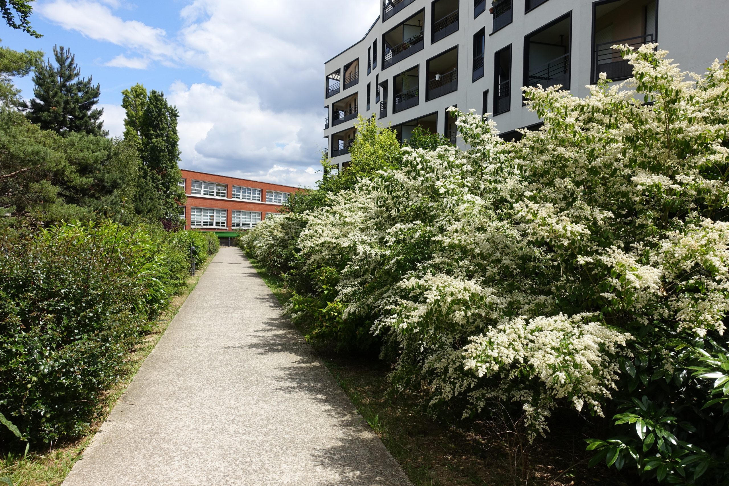 Comment bien vendre à Issy-les-Moulineaux ?